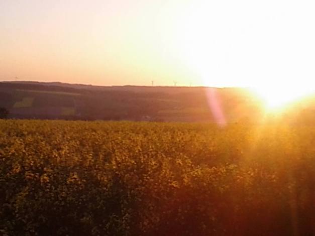 13139306_1202255836460788_6073065786395025224_n